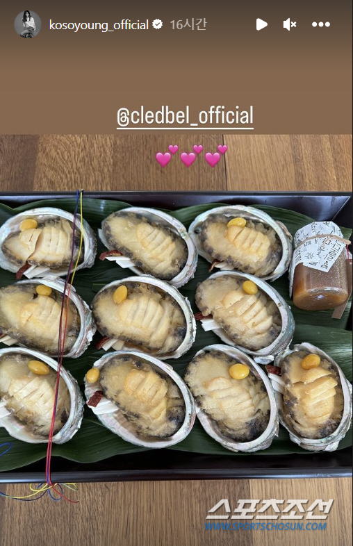 '장동건♥'고소영, 설 음식도 럭셔리…대자 전복에 인삼 들어간 갈비탕까지