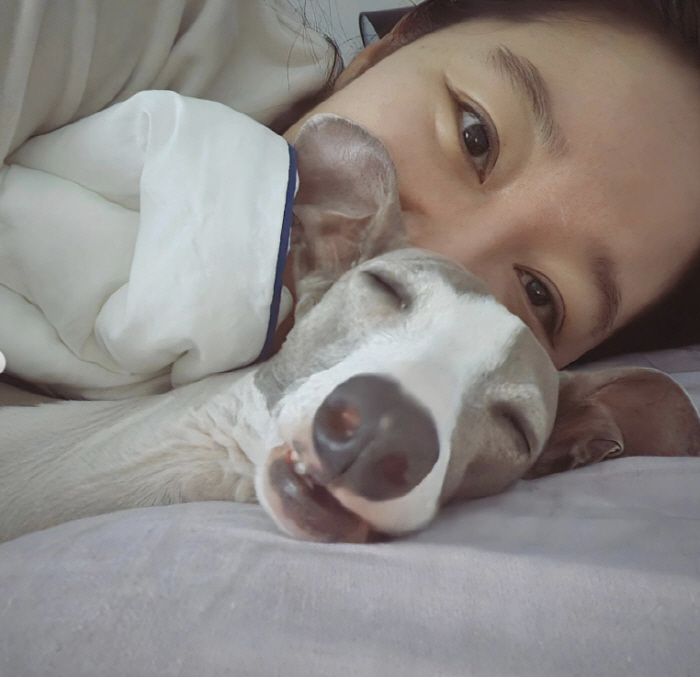 공효진, '♥케빈오 입대' 후 첫 명절...조용한 집안 반려견과 집콕 휴…