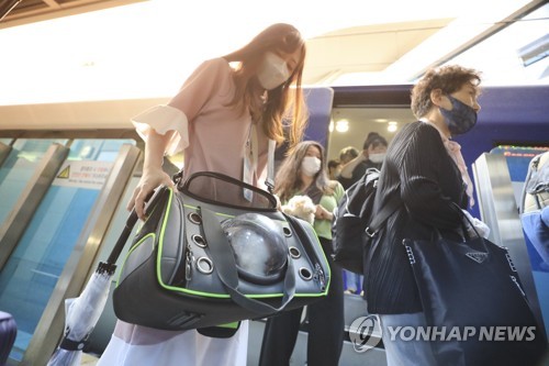 문체부, 3월 여행가는 달 캠페인…교통·숙박 할인