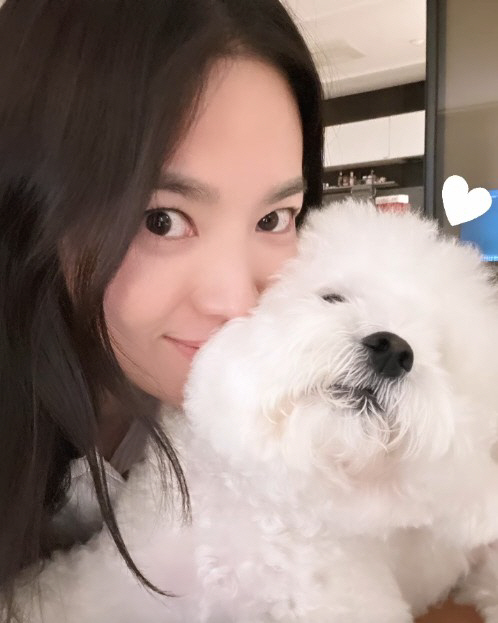 송혜교, 한 살 더 먹어도 변함없는 '대체불가' 청순미모