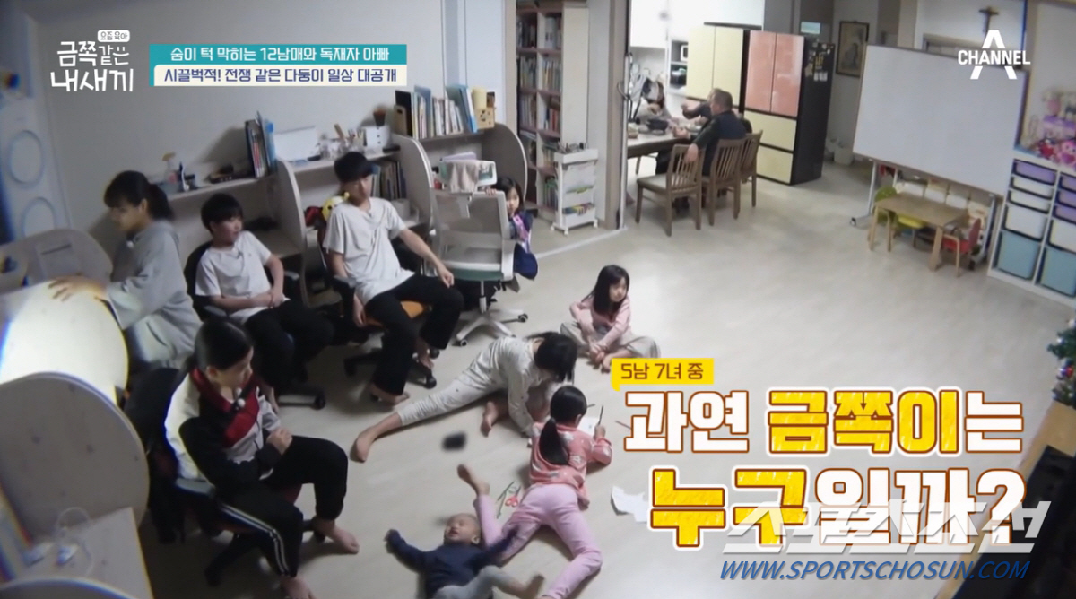 [종합]"동생이 그만 태어났으면 좋겠다". '아들 5명+딸 7명' 국제부…