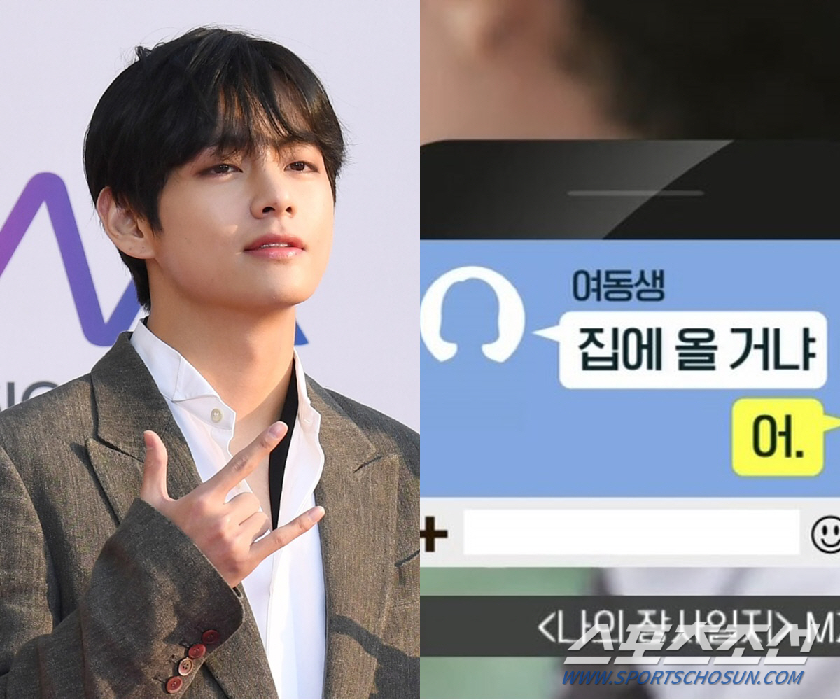 [SC이슈]BTS 제이홉, 실제 카톡 말투 보니…'현실 남매' 뷔와 비교…