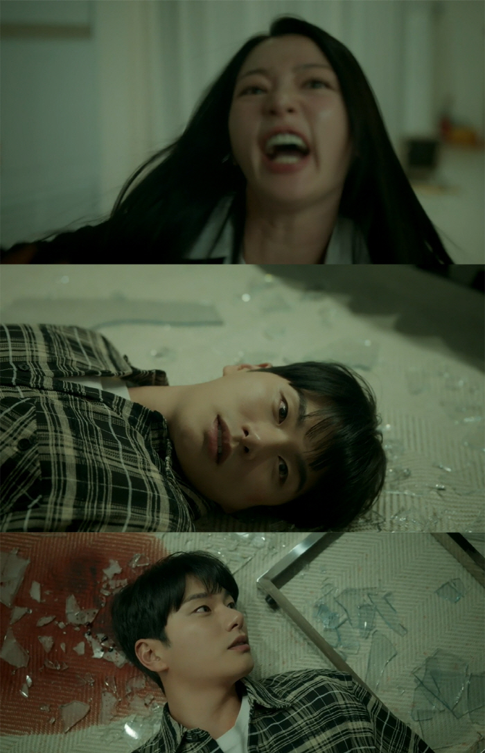 "얼굴 경련까지 리얼" 송하윤X이이경 '연기대상감' 빌런 '내남결' 美친…