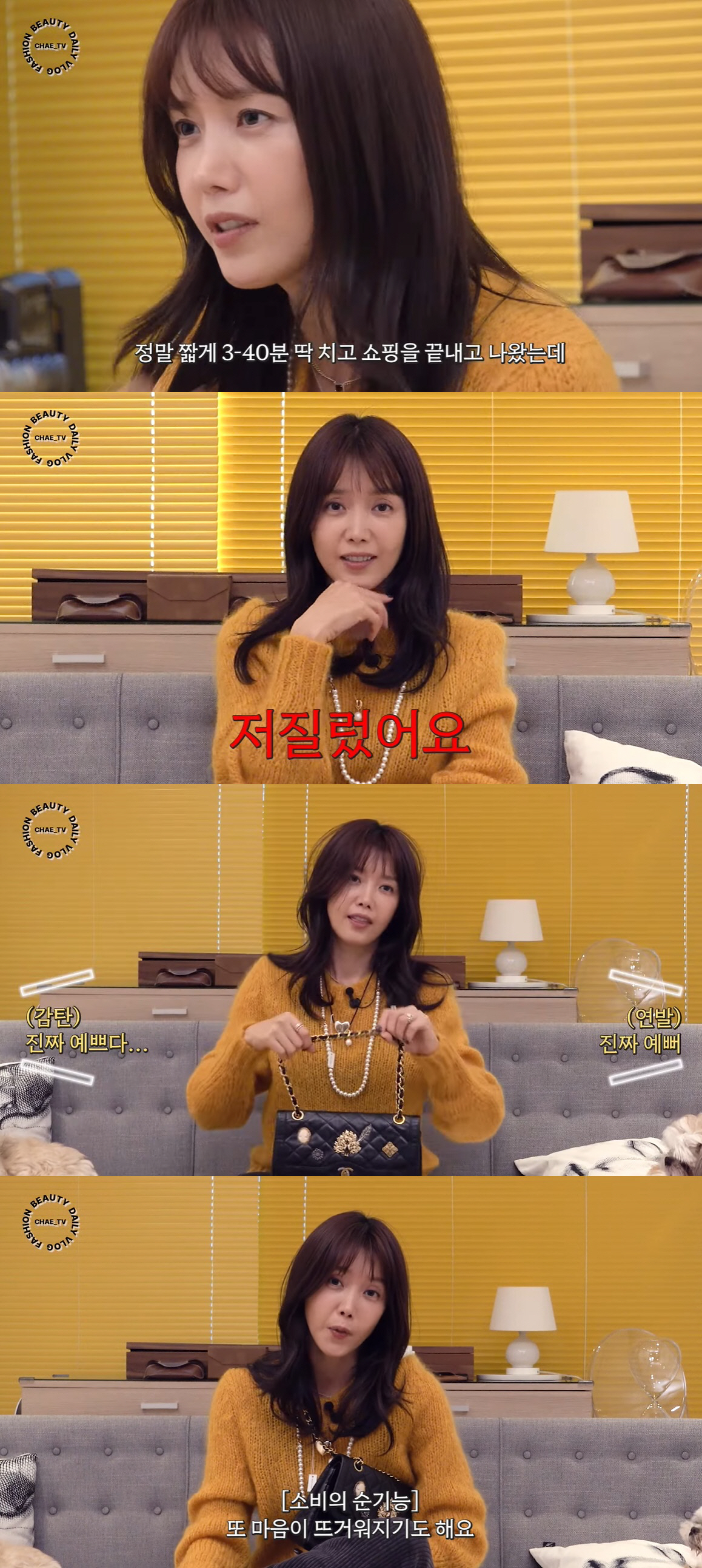 채정안, 30분 만에 '1천만원 쇼핑 플렉스'…"과소비만 안 하면 돼" …