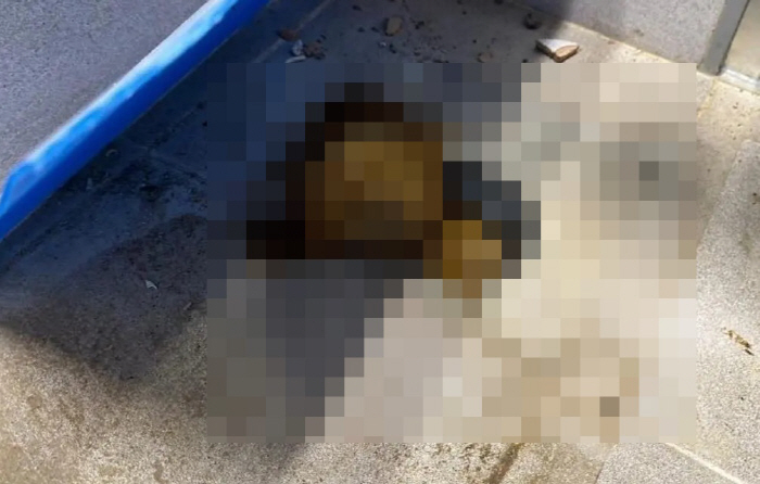 '물난리'·'오물 방치'에 잇단 안전사고까지…'위기의' 금호건설