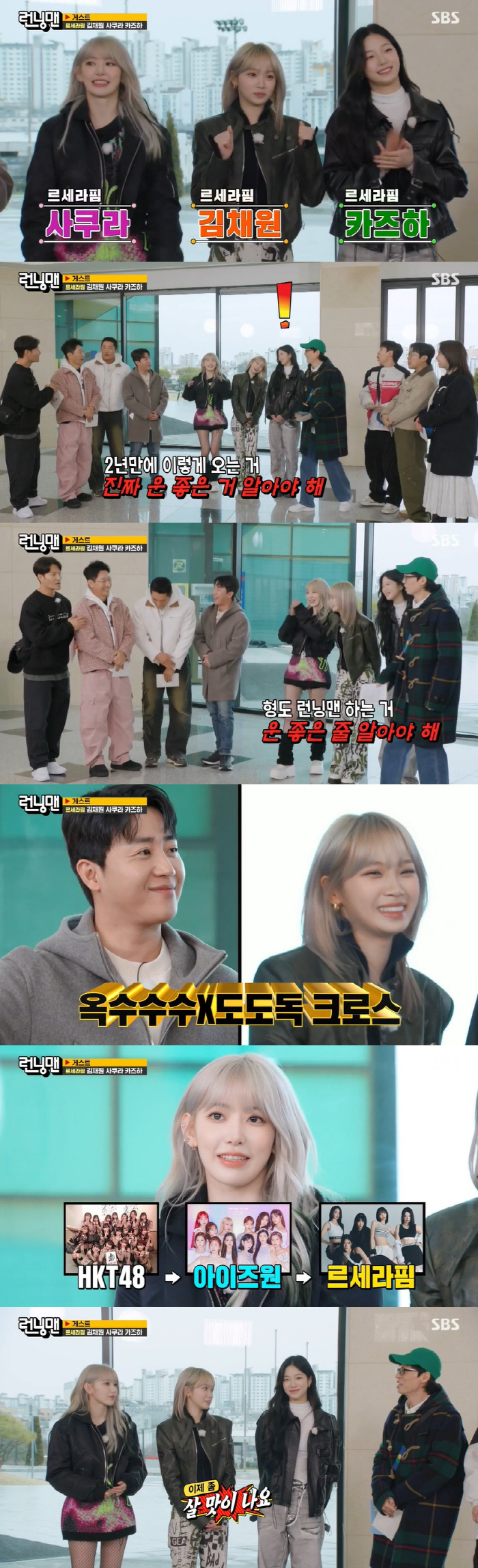"이제 좀 살맛 난다" 르세라핌 김채원·사쿠라, 아이돌 수입 이야기에 '…