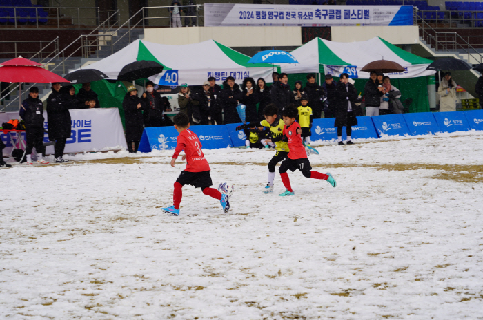 강원도 최대 축구 축제 '2024 평화 양구컵 전국 유소년 축구클럽 페스…
