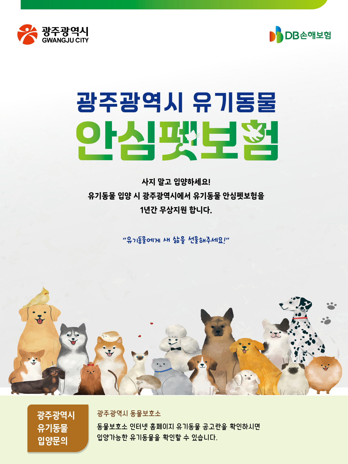 DB손해보험, '2024년 광주광역시 유기동물 안심펫보험 지원사업' 사업…
