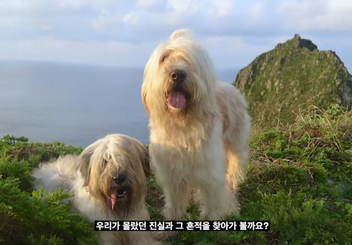 김남길, 서경덕 교수와 의기 투합…삼일절맞이, 독도 삽살개 영상 내레이션
