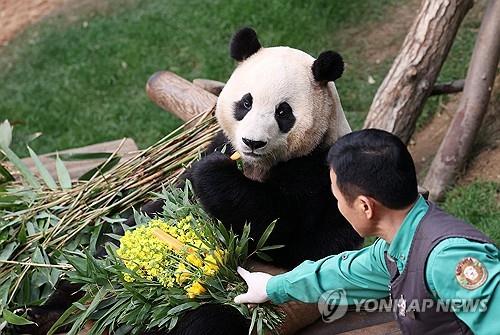[연합뉴스 자료사진]