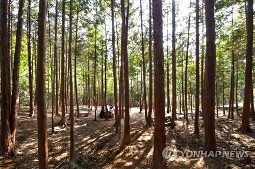 [울산 북구 제공. 재판매 및 DB 금지]