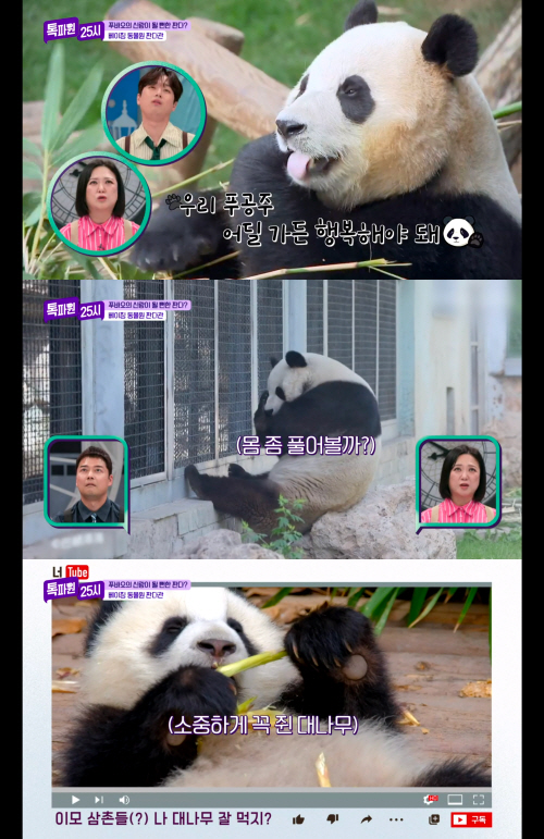 [SC리뷰] "여기가 1등이더라" '톡파원 25시' 이찬원, 미국 버거집…