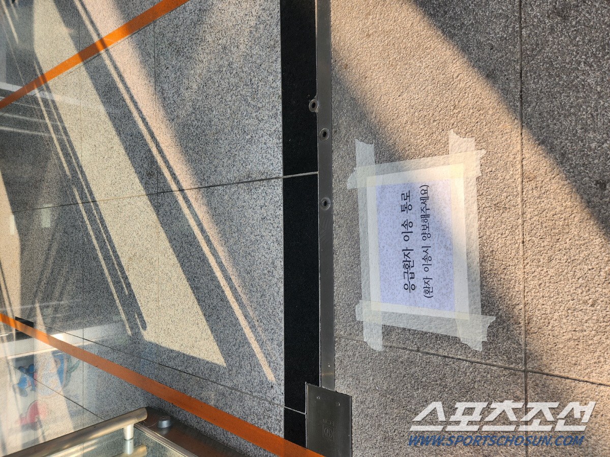 "1000명↑체육행사시 '주최자'안전관리 의무화,15일부터 시행" '안전…