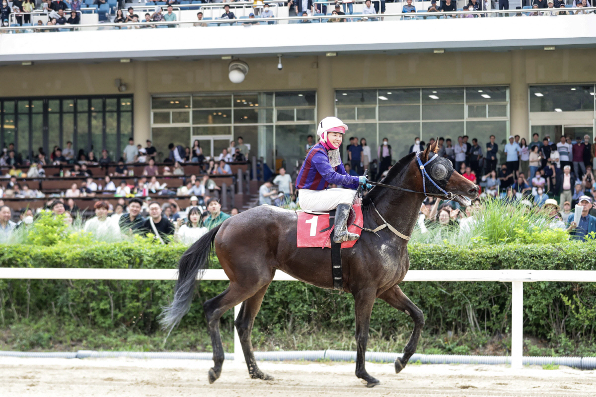 [경마] 스테이어 시리즈 제1관문, 제22회 헤럴드경제배(G3) 개최