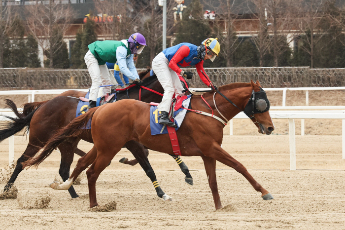 [경마] 스테이어 시리즈 제1관문, 제22회 헤럴드경제배(G3) 개최