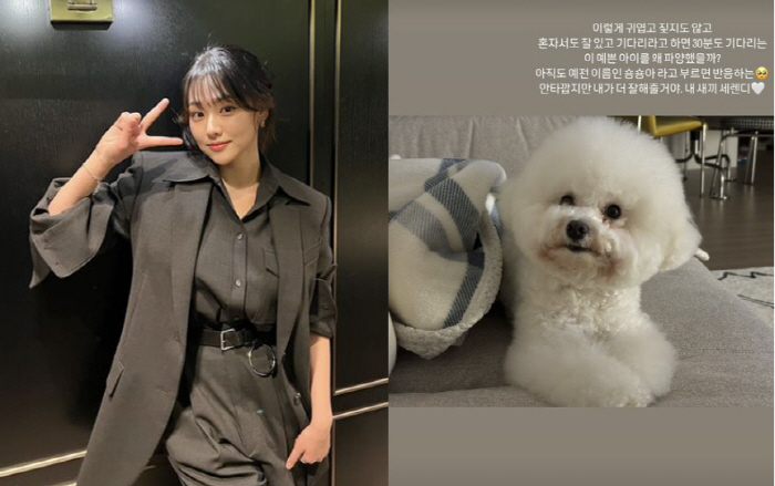 강미나, 파양 당한 강아지 입양 "이 예쁜 아이를...내가 더 잘해줄거야…