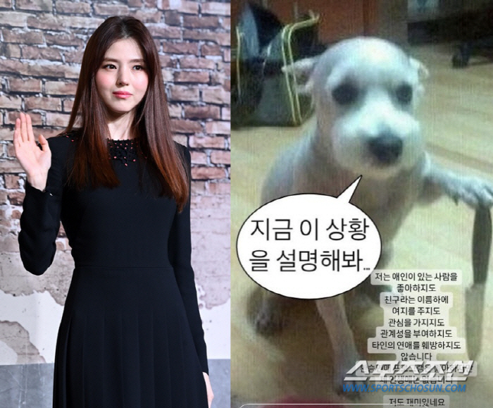 "슈퍼스타 된 이 상황 설명한다" 한소희 짤 속 '칼 든 강아지' 주인 …