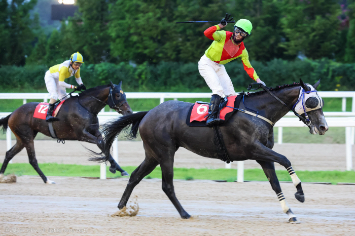 [경마] 퀸즈투어 S/S 제1관문, 제27회 동아일보배(L) 개최