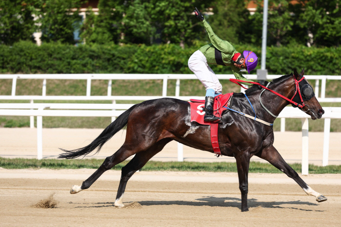 [경마] 퀸즈투어 S/S 제1관문, 제27회 동아일보배(L) 개최