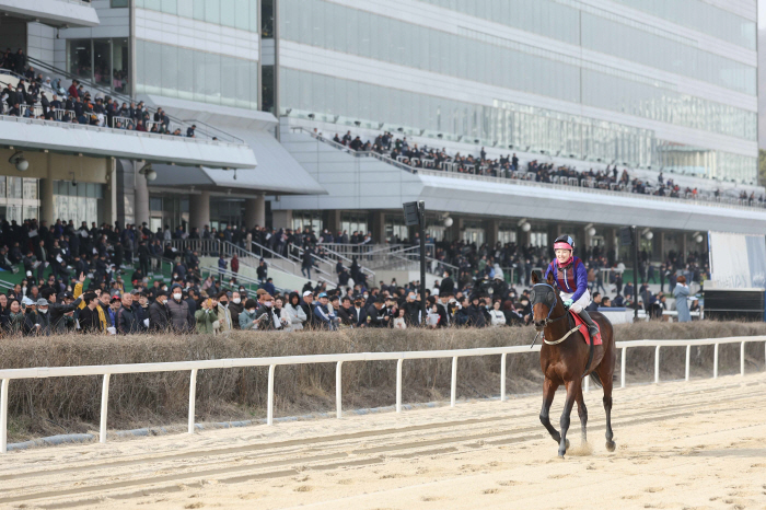 [경마] '글로벌히트' 제22회 헤럴드경제배(G3) 대역전 우승!
