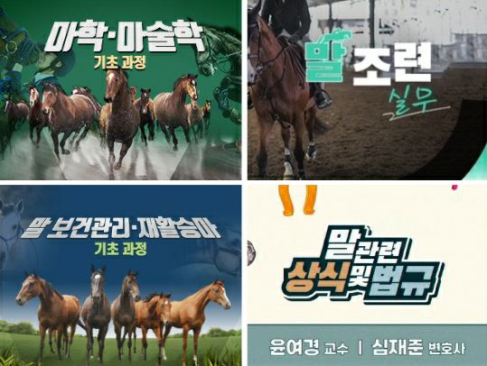 [경마] 말산업 일자리가 궁금해? 케이무크 통해 누구나 무상교육 실시