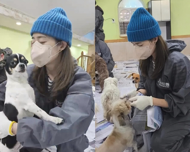 성유리, 활동 중단 와중에도 "아가들아 사랑 받고 행복해지자"..유기견 …