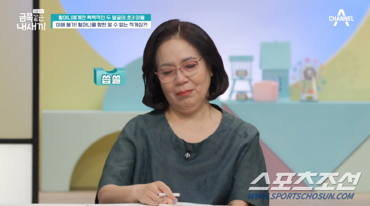 "할머니 벌 줘야겠다". '모범생' 금쪽이, 할머니에게만 주먹질 등 폭력…