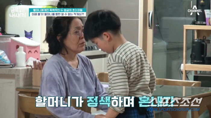"할머니 벌 줘야겠다". '모범생' 금쪽이, 할머니에게만 주먹질 등 폭력…