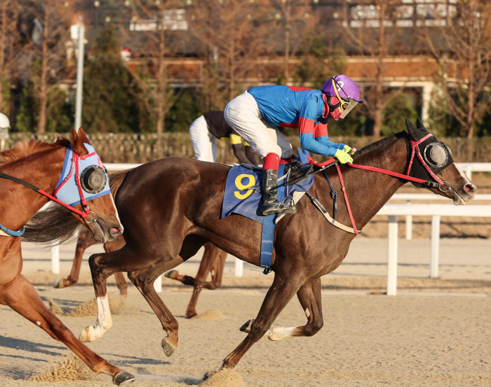 [경마] 렛츠런파크 부산경남, 31일 루나스테이크스 대상경주 개최