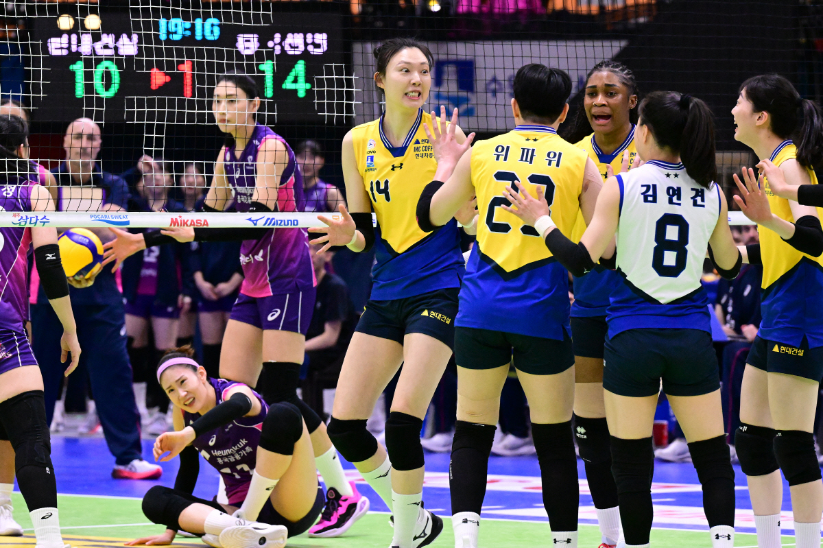 이게 최고 스타의 품격인가..."나와 연경 언니 대결 아냐, 우린 팀으로…