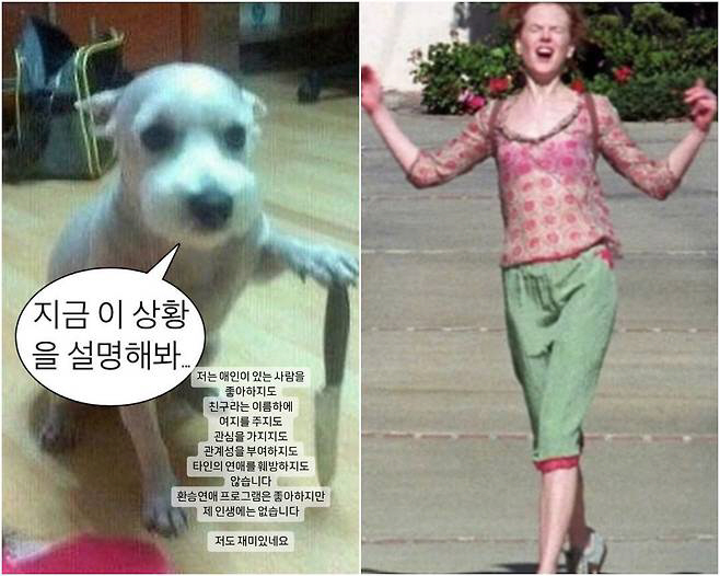 [종합] "칼 든 개→이혼짤→꽃길 케이크"…한소희, '결별' 류준열과 같…
