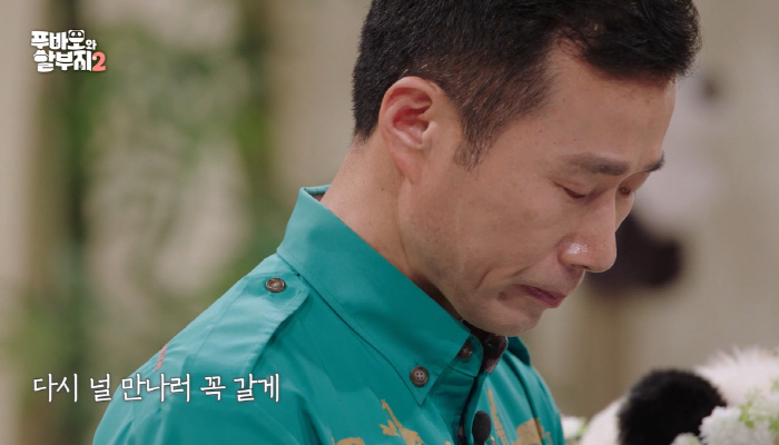 "모친상에도 3일 푸바오 배웅"...강철원 사육사, 눈물의 마지막 인사 …