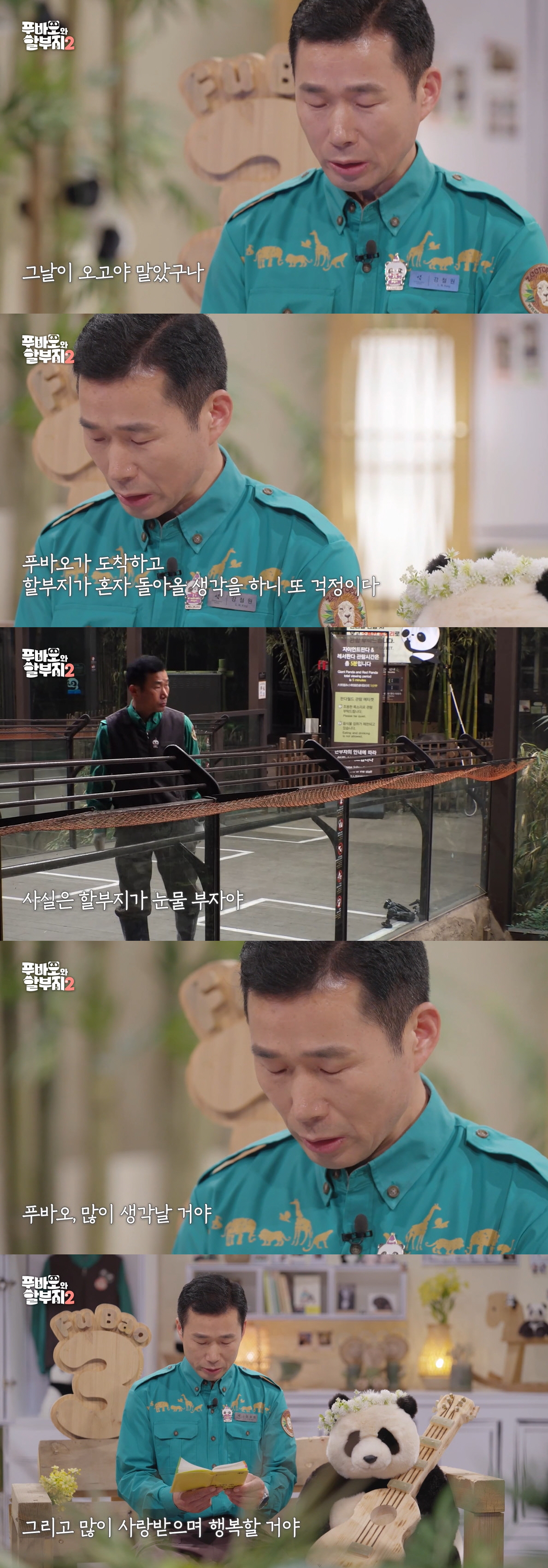 "모친상에도 3일 푸바오 배웅"...강철원 사육사, 눈물의 마지막 인사 …