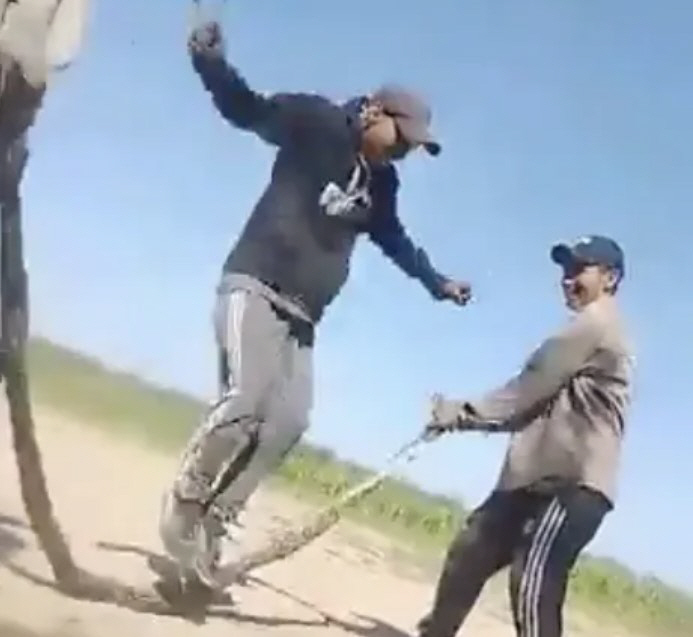 뱀으로 줄넘기하는 영상에 '동물 학대' 비판 쏟아져