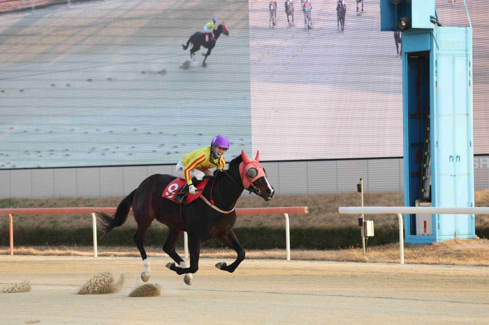 <경마> 삼관마의 영예 가져갈 3세마는? 'KRA컵 마일' 개막