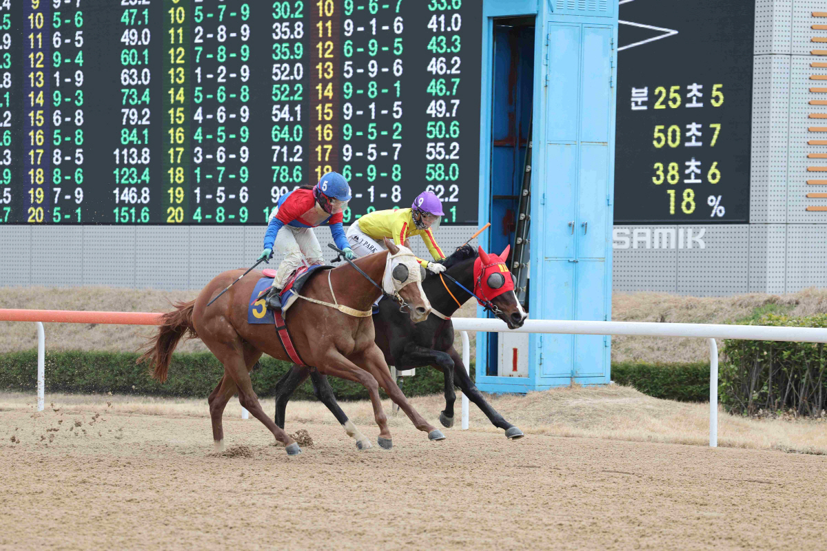 <경마> 삼관마의 영예 가져갈 3세마는? 'KRA컵 마일' 개막