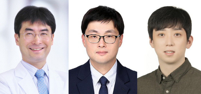 "미세먼지 노출 고령층, 스타틴 복용 땐 뇌졸중 위험 낮춰"