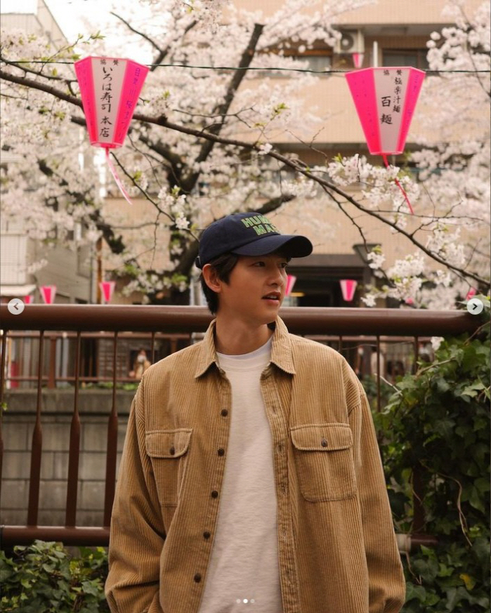 송중기, ♥케이티+子과 함께하는 日 벚꽃 가족여행 '행복한 순간'