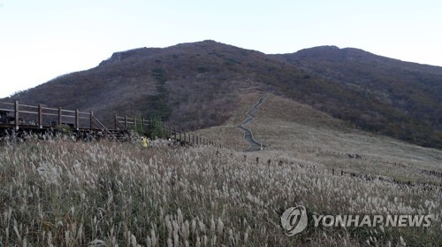 [연합뉴스 자료사진]