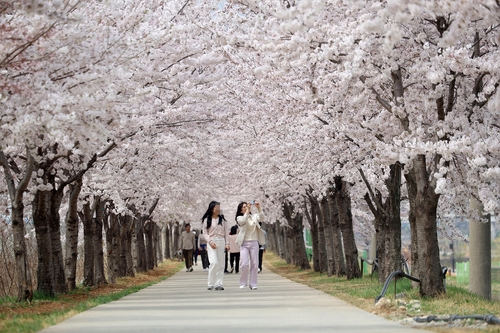 [동해시 제공. 재판매 및 DB 금지]