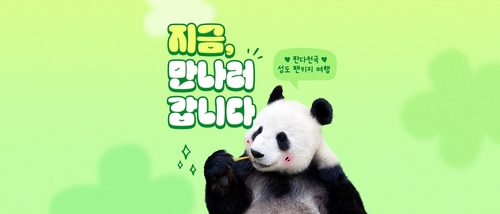 '푸바오 아쉬움 달래세요'…하나투어, 판다기지 방문상품 출시