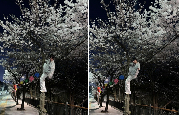 [SC이슈] "벚꽃맨" 외치며 나무 올라탄 'S대 출신' 최성준, 민폐 …