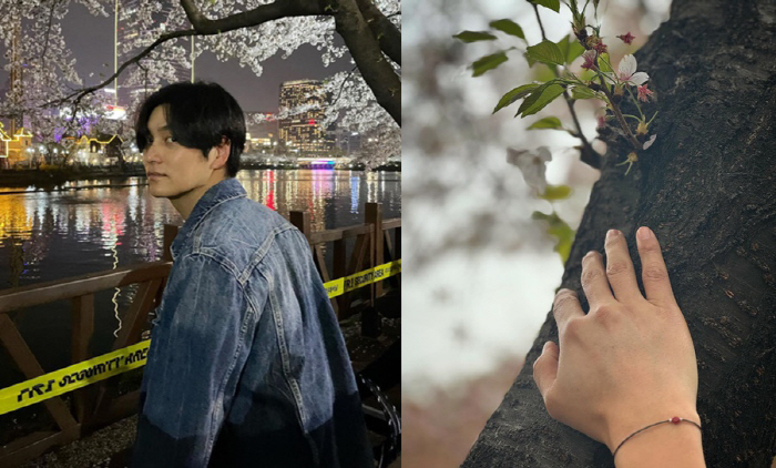 '무개념 벚꽃놀이' 최성준, 결국 사과 "나무 아끼고 사랑할 것" [SC…