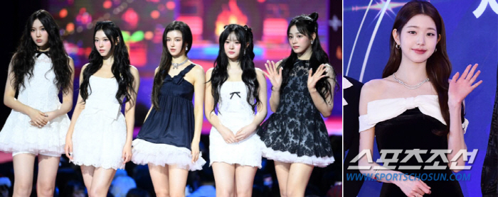 "이젠 안 참어" 뉴진스·장원영까지…악플러·사이버렉카, 종말의 시대[SC…