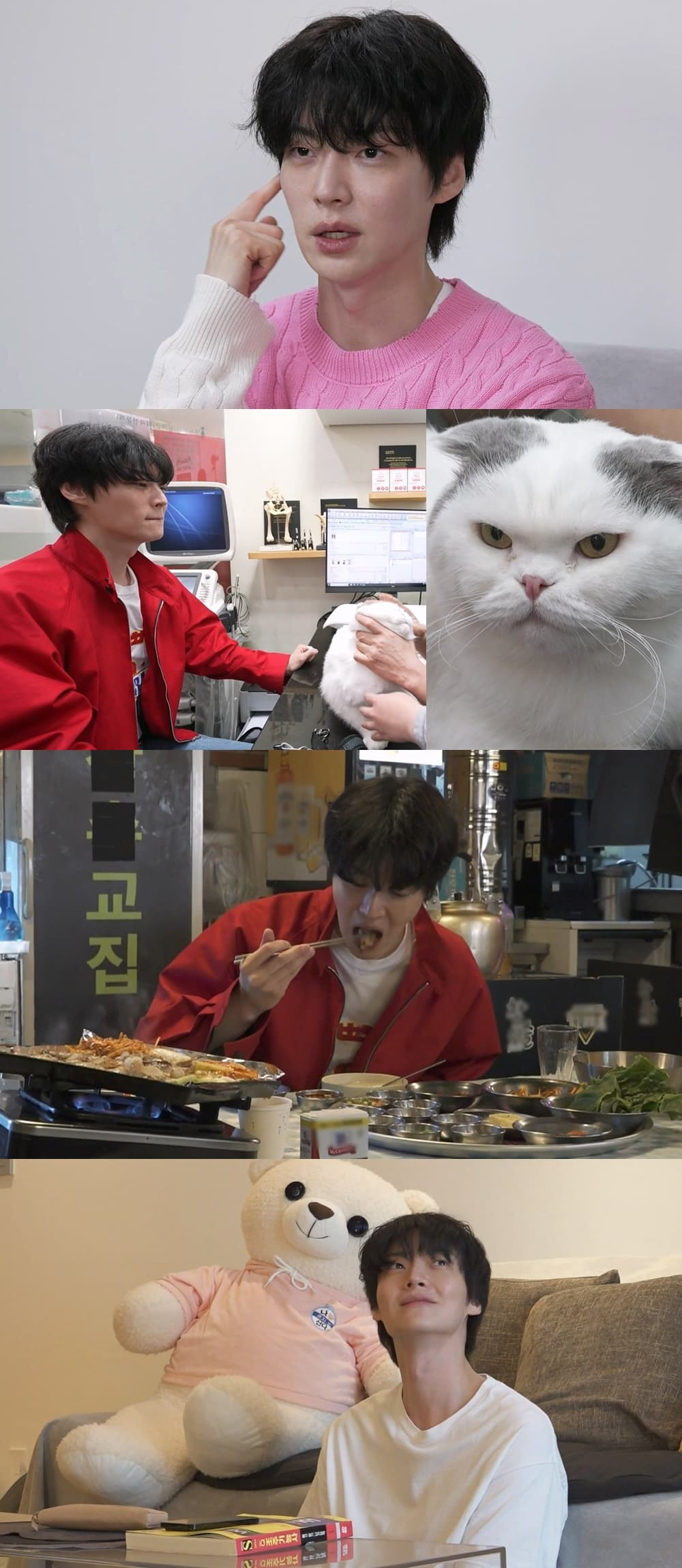 [SC초점] "혼자여도 행복해요" 안재현-최민환, '돌싱' 스타들, 예능…