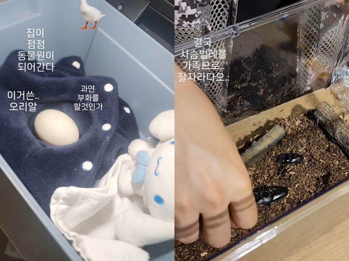 '싱글맘' 정가은, 새로운 가족 소개..'이제는 단란한 다섯 식구'