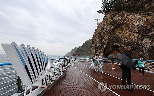 [연합뉴스 자료사진]
