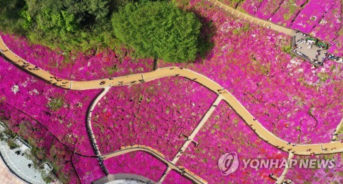 [연합뉴스 자료사진]