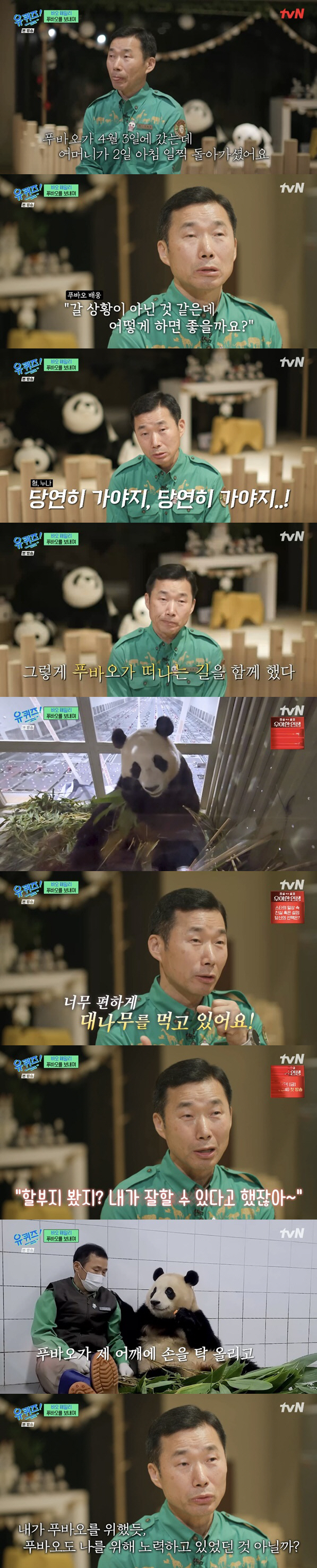 강바오 "모친상에도 푸바오 中동행, 의젓한 모습에 감동" ('유퀴즈')[…