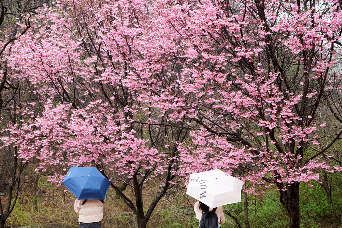 아이와 함께 가고 싶은 '완주'…힙한 분위기·문화체험 등 팔색조 매력